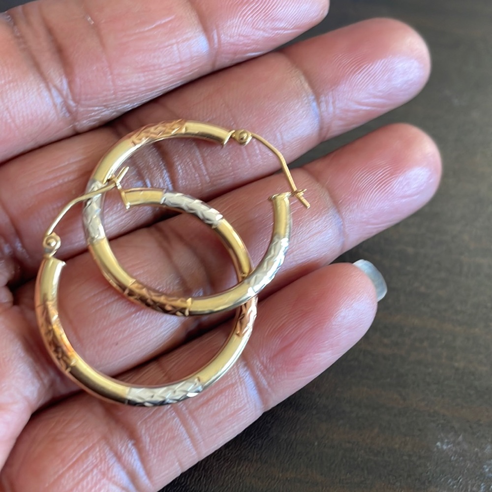 Pair of 14k gold 2 tone earrings